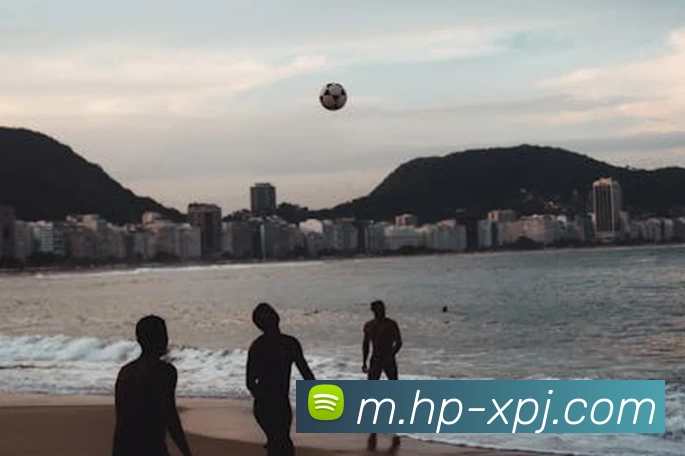 澳门新葡京娱乐平台生态图