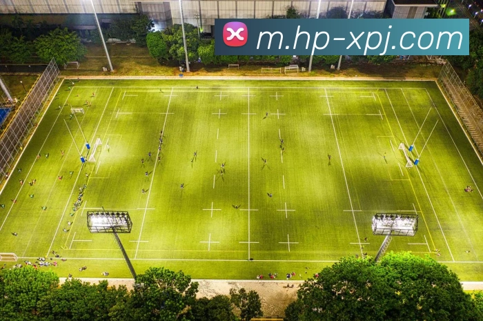 澳门新葡京娱乐全站App